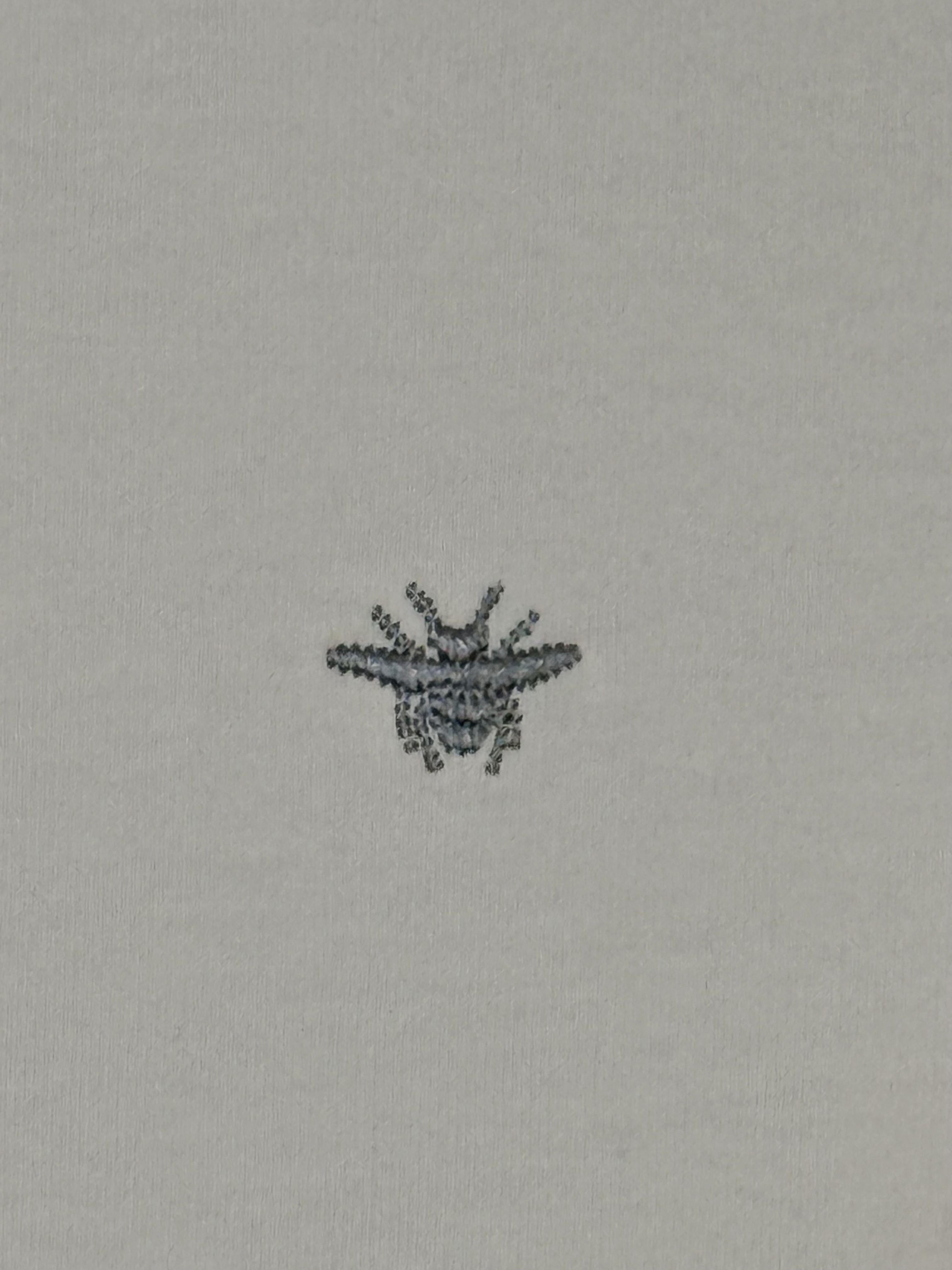 Playera Calidad Alta Dior Cuello Redondo
